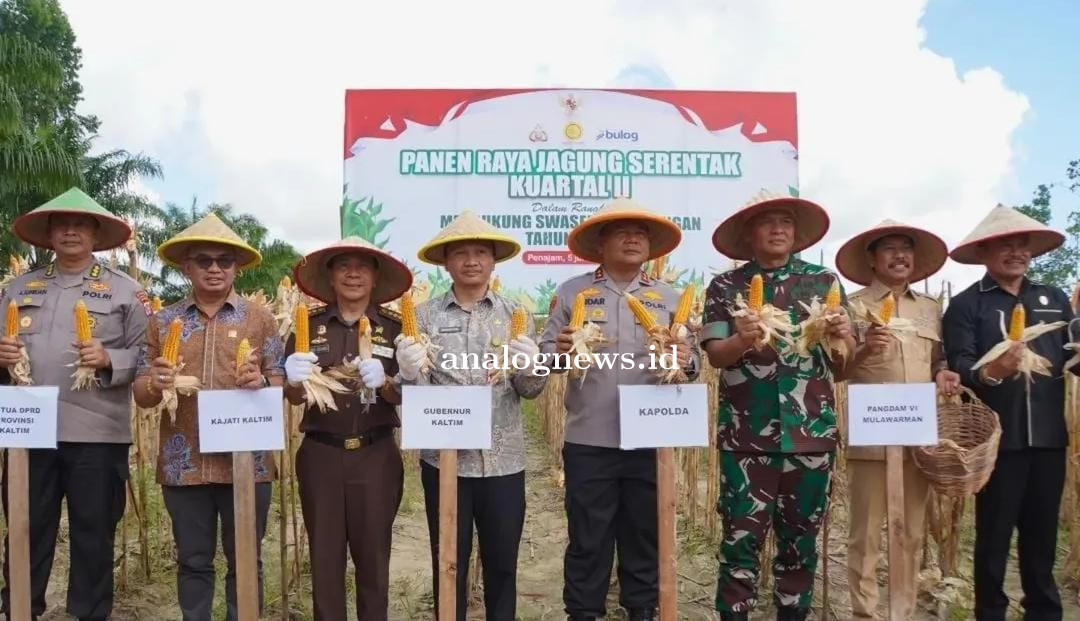 DPRD Kaltim Hadiri Panen Raya Jagung di PPU, Fadly Imawan Tekankan Kesejahteraan Petani di Tengah Do