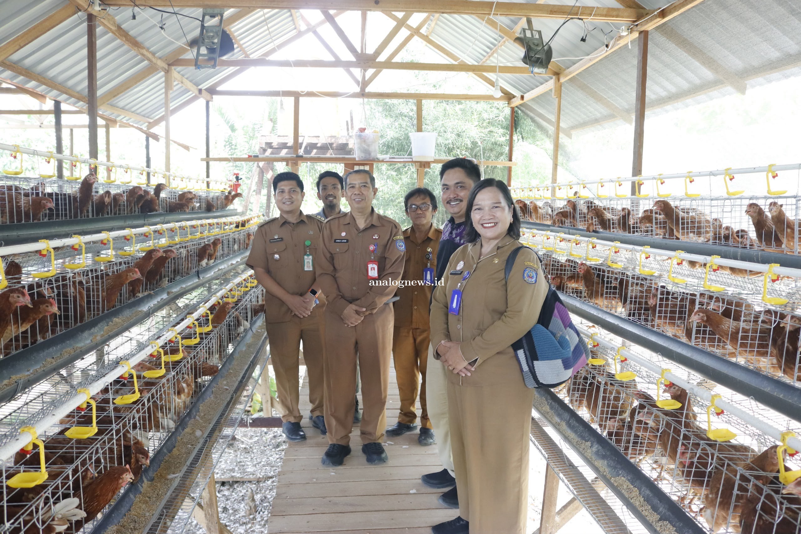 DKP3 Libatkan Kelompok Tani Dukung Pencegahan Stunting Lewat Bantuan Ayam Petelur
