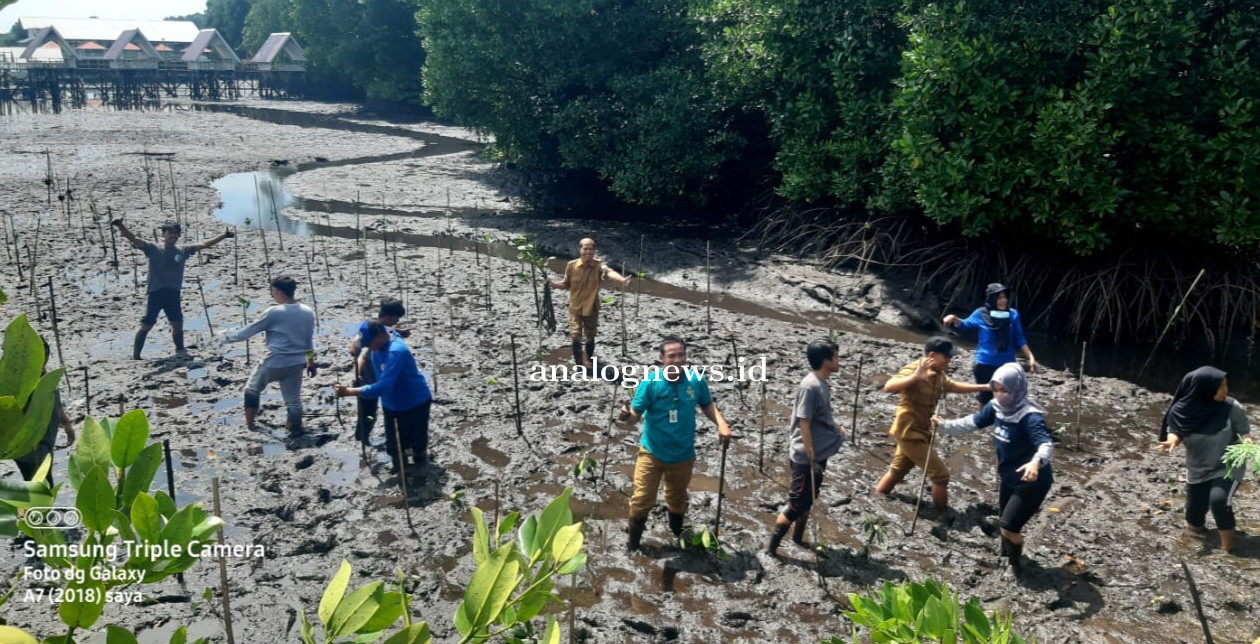 DLH Support Mahasiswa KKN Tanam Mangrove di Pesisir Bontang