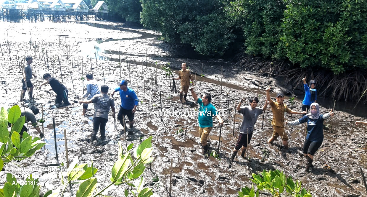 Peringati Hari Mangrove Sedunia, DLH Bontang Ajak Masyarakat Jaga Mangrove