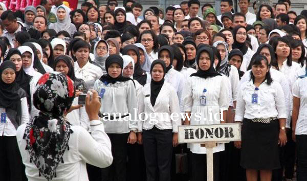 Honorer Menjadi Outsourcing, Berikut Kekurangan dan Kelebihannya